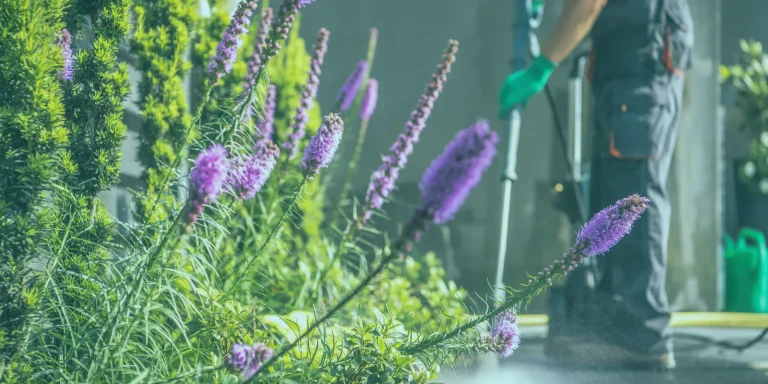 Spring cleaning Yirra Care NDIS Registered Provider